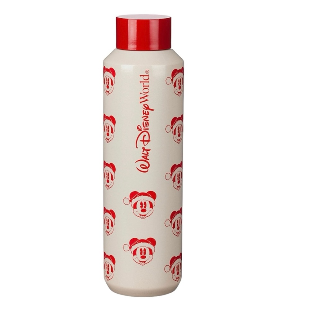 Disney World x Starbucks Christmas Holiday Santa Mickey Metal Tumbler NEW